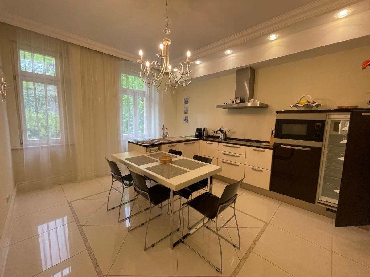 Apartma Premium Karlovy Vary Bagian luar foto